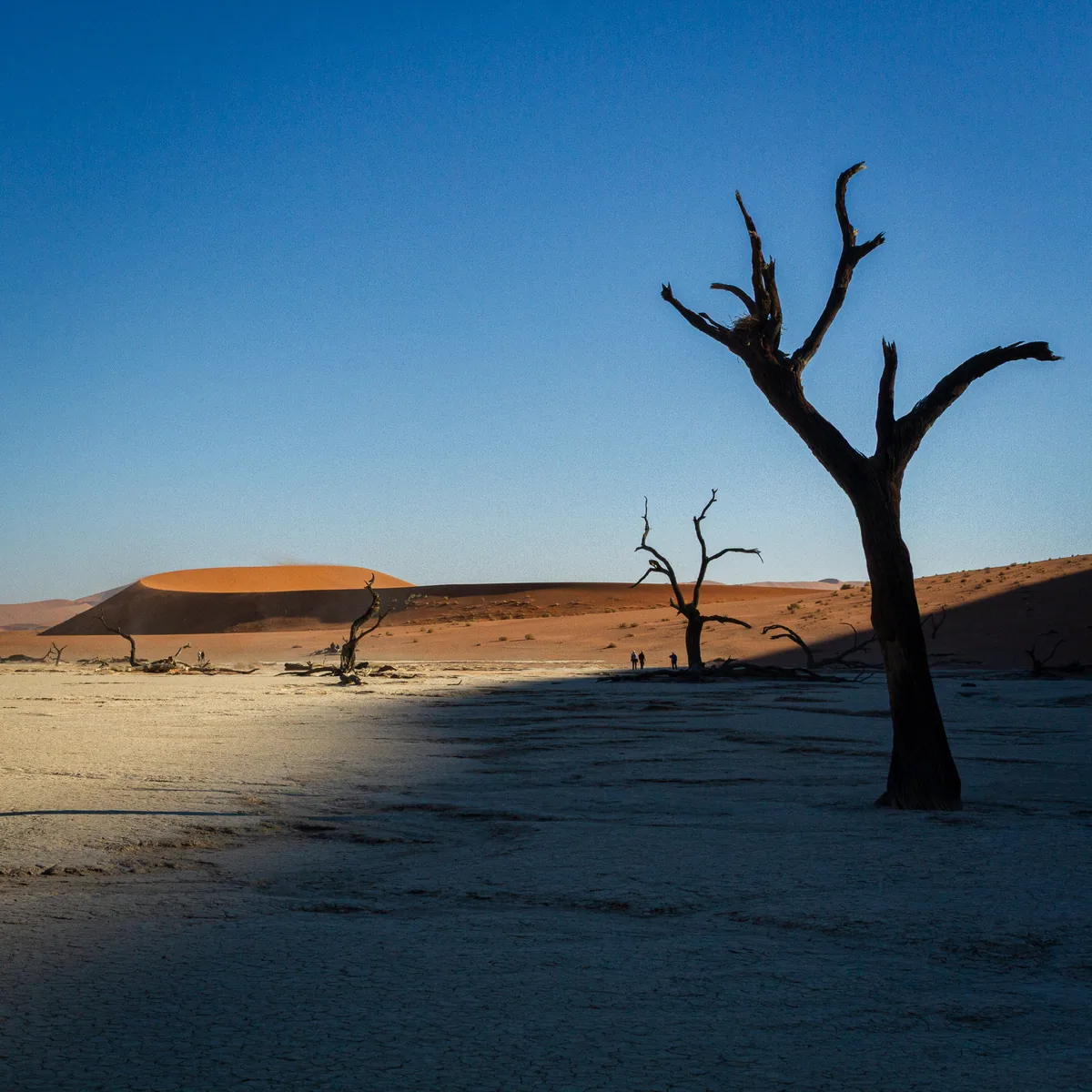 Deadvlei