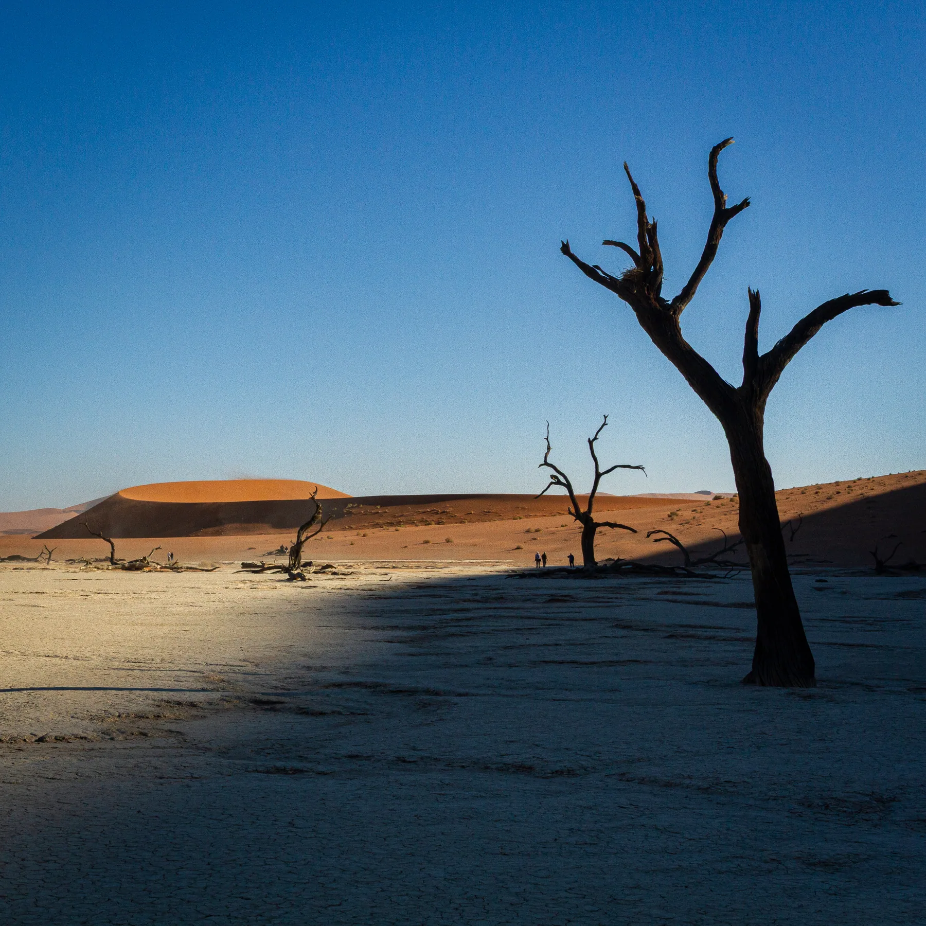 Deadvlei